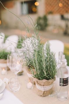 a table topped with bottles and glasses filled with plants next to wine glasses on top of a table