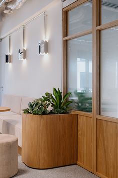 Wooden glass wall with plants rounded with beige bench Office Workplace, Mood Lights, Reception Area, Parts Of A Plant, Pilates Studio, Furniture Details, Med Spa, Reception Areas, Break Out