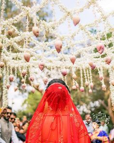 a woman in a red dress and veil standing under a tree filled with white flowers