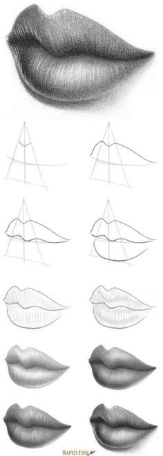 different types of lips drawn in pencil with the shape of a boat on top and bottom