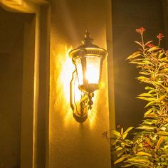 a light that is on the side of a building next to a bush and potted plant