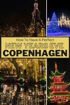 the new year's eve in capenhagen with lights and trees on display