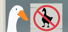 a duck standing next to a no ducks allowed sign