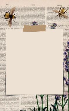 an old book page with flowers and bees on it, next to a torn piece of paper