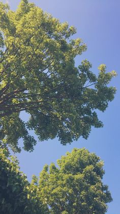 an airplane flying through the blue sky with trees in the foreground and clouds in the background