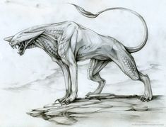 a pencil drawing of a creature standing on top of a rock