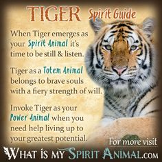 a tiger with an animal poem on it's chest and the words, what is my spirit animal?