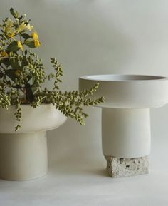 two white vases with yellow flowers in them