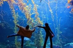 two people standing in front of an aquarium