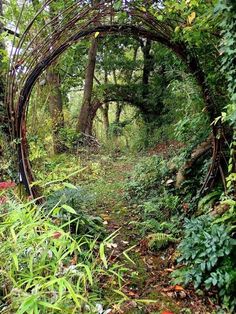 an arch made out of branches in the middle of a forest with lots of plants