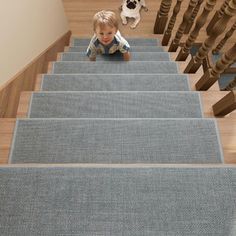 a toddler is crawling down the stairs in front of a dog on the other side