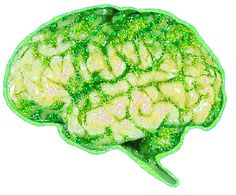 the inside of a green leafy brain