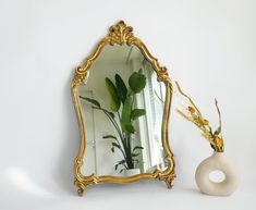 a mirror and vase with plants in it