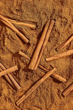 several wooden sticks laying in the sand on top of it's side and bottom