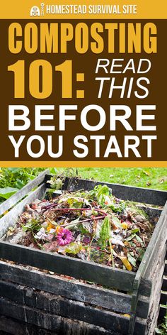 composting 101 - read this before you start