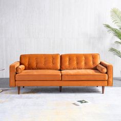 an orange couch sitting on top of a white rug next to a potted plant