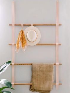 a hat and scarf hanging on a clothes rack in a room with a potted plant