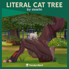 the book cover shows a cat standing on top of a rock in front of a tree