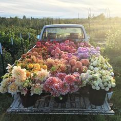 a pick up truck filled with lots of flowers