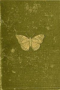 a yellow butterfly sitting on top of a green surface