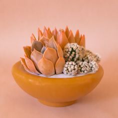 A ginger orange brown ceramic bowl planter. Cactus Arrangement, Sweets Gift, Indoor Outdoor Planter, Garden Lovers, Outdoor Planters, Beauty Wellness, Small Plants, The Shade, Art Furniture