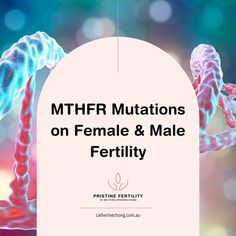 Our latest blog post explores the critical role of the MTHFR gene in female and male fertility. Understanding this gene’s impact is essential for those trying to conceive, as it can influence egg and sperm health.

Discover why the right type, dose and timing of folate supplement is key to minimising the risk of miscarriage and supporting a healthy pregnancy journey. 

#FertilityJourney #MTHFR #EggHealth #SpermHealth #MiscarriagePrevention #FertilitySupport #Pristinefertility Embryo Implantation, Gene Mutation, Irregular Menstrual Cycle, Cleft Lip, Female Fertility