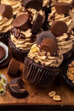 chocolate cupcakes with peanut butter frosting and chopped nuts on a cutting board