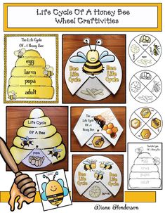 the life cycle of a honey bee wheel craftivity kit with pictures and instructions to make it