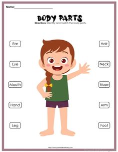 the body parts worksheet for kids to learn how to read and understand their body parts