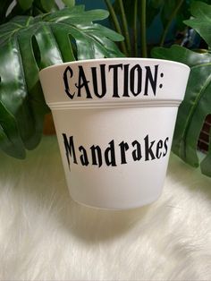 a white planter with the words caution mandrakes written on it in black ink