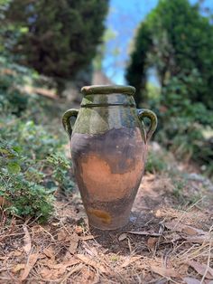 an old vase sitting on the ground in front of some bushes and trees with no leaves