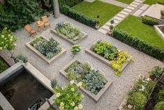 an aerial view of a garden with various plants and seating areas in the center, surrounded by greenery