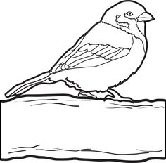 Sparrow Coloring Page Sparrow Tattoo Design, Letter A Coloring Pages, Sparrow Tattoo, Nature Art Drawings, Robin Bird, Alphabet Coloring Pages