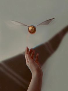 a hand reaching for a flying object in the air with it's wings spread out