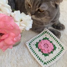 a gray cat sitting next to a crocheted square with a flower on it