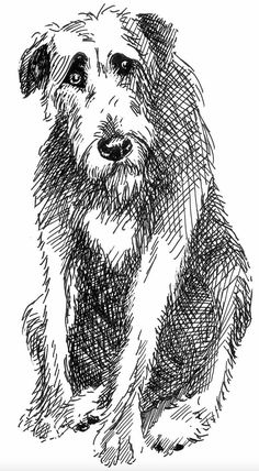 a black and white drawing of a dog