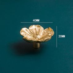 a brass flower shaped knob with measurements for the top and bottom side, on a blue background