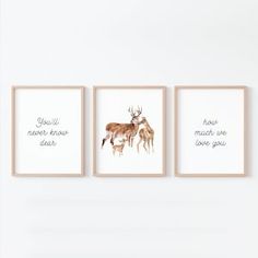 three deer prints hanging on the wall