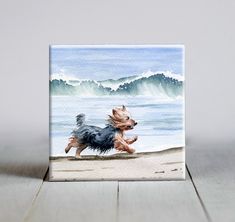 a small dog running on the beach with waves in the backgroounder