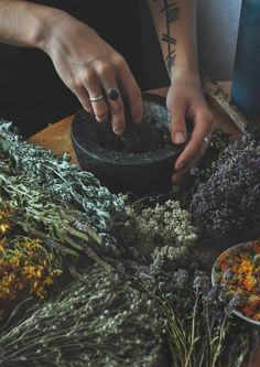 Herbs For Protection, Lev Livet, Green Witchcraft, Pagan Witch, Witch Aesthetic, Green Witch, Diy Interior, Healing Herbs, Apothecary