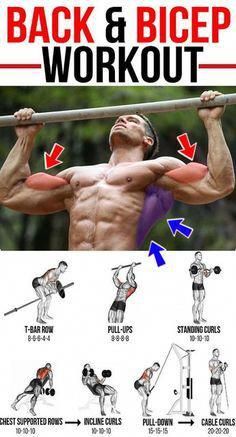 the back and bicep workout poster shows how to do pull - ups with barbells