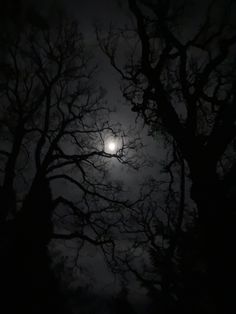 the moon shines through the branches of trees in the night sky, with no leaves on them