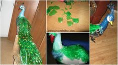 there is a collage of pictures with green and blue feathers