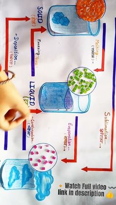 a poster showing the life cycle of an animal and its food webpage is displayed