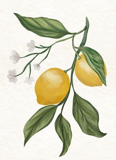 a painting of lemons with leaves and flowers