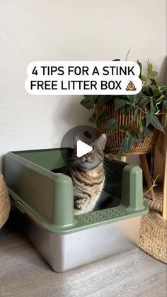 Cat litter box furniture Where To Put A Litter Box Cats, Diy Cat Litter Box Ideas Mess Free, Litter Box Placement Ideas, Stainless Steel Cat Litter, Liter Box Ideas Cat Diy, Litter Box Smell Hacks, Cat Litter Set Up, Apartment Litter Box Ideas, Kitty Litter Box Ideas