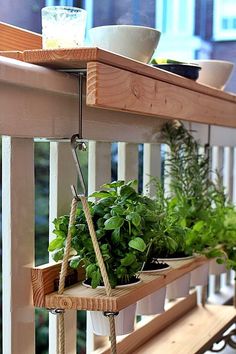 some plants are hanging from a shelf on a porch or deck with rope attached to the railing