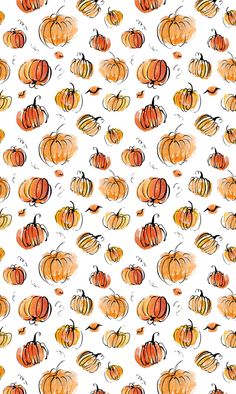 a white background with lots of orange pumpkins