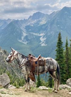 a horse with saddle standing on top of a rocky hill next to trees and mountains