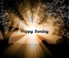 the words happy sunday are lit up in front of a sunburst and trees